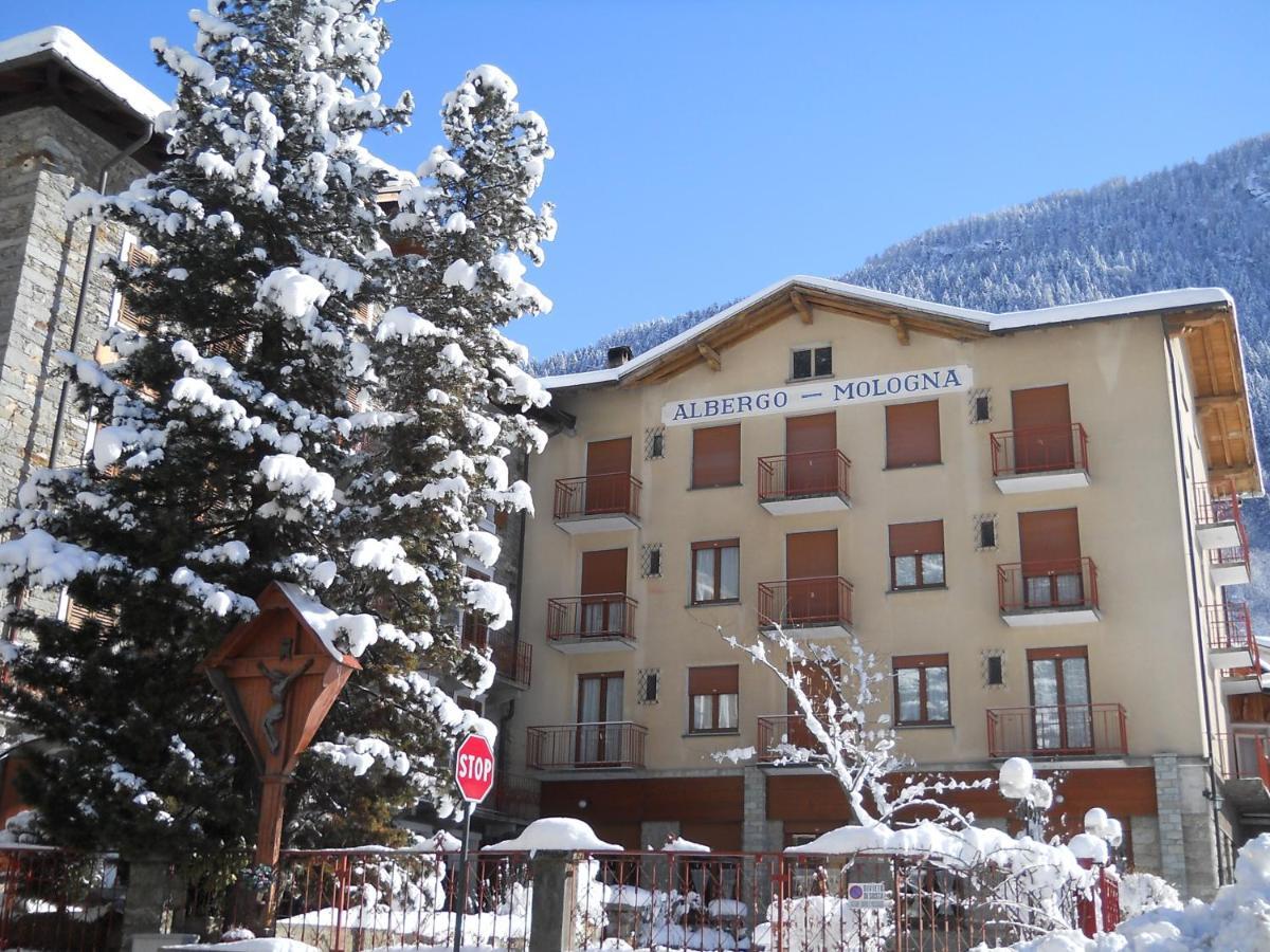 Albergo Mologna Gaby Buitenkant foto
