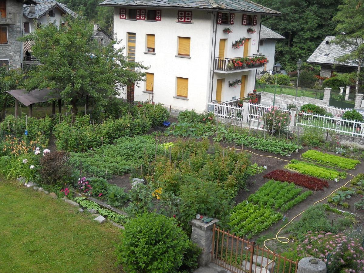 Albergo Mologna Gaby Buitenkant foto